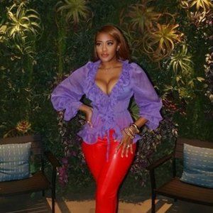 Bishop Sleeve Sheer Mesh Blouse